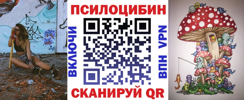 ОМГ ОМГ ТОР  Череповец  Галлюциногенные грибы Cubensis 